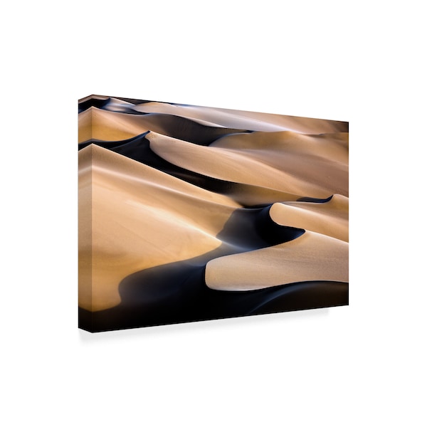 Mohammadreza Momeni 'Music Dunes' Canvas Art,30x47